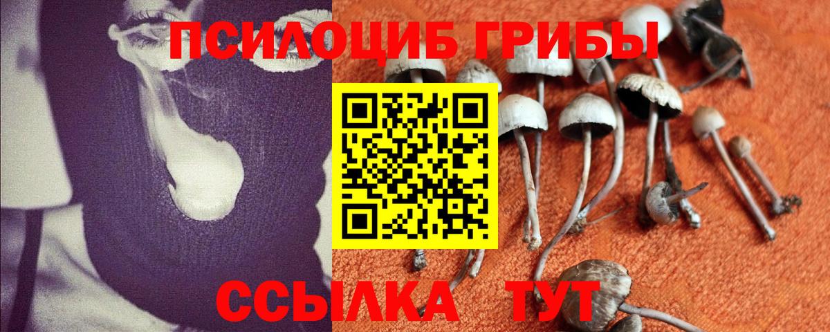 Галлюциногенные грибы мицелий  Псилоцибиновые грибы Cubensis  Вход с VPN  хочу   Кушва 